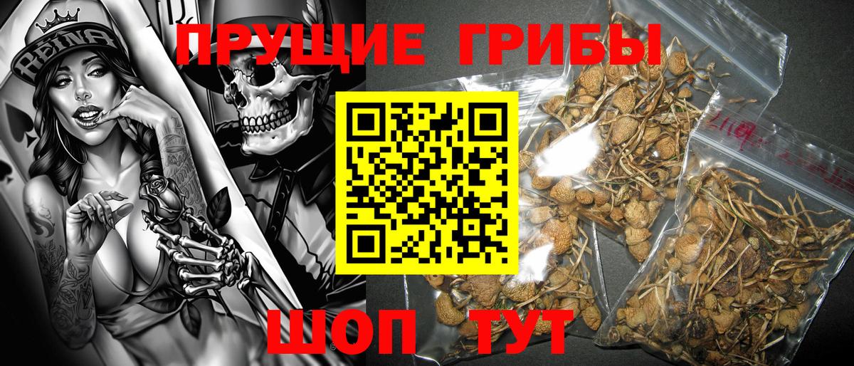 Галлюциногенные грибы Magic Shrooms  Галлюциногенные грибы прущие грибы  Шелехов  Вход с VPN 